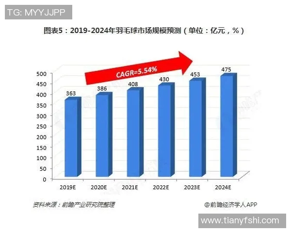 北京羽毛球队个人能力分析与发展潜力探讨